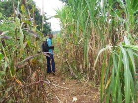 34696_104985649563462_69283_n